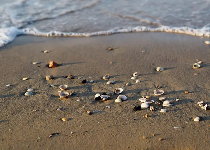 Intimate Seaside Perfect For Relaxing